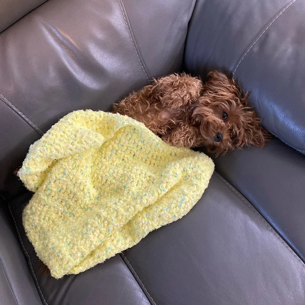 Dog Blanket Pet Lovey, Cat Blanket, Nesting, Security Crochet